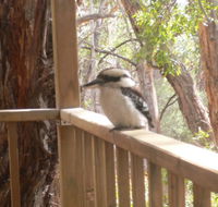 The Ledge Holiday House - Tourism Hervey Bay