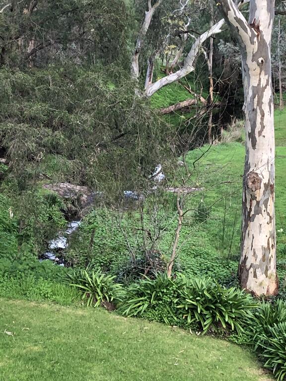 Cockatoo Valley SA Hervey Bay Accommodation
