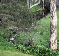 The Miners Cottage Barossa - Hervey Bay Accommodation