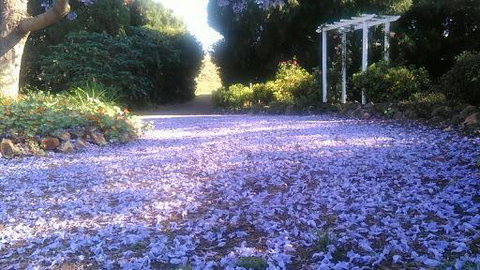 The Old Church Bed And Breakfast - Tourism Hervey Bay 2