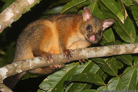 The Pond Cottage - Hervey Bay Accommodation 2