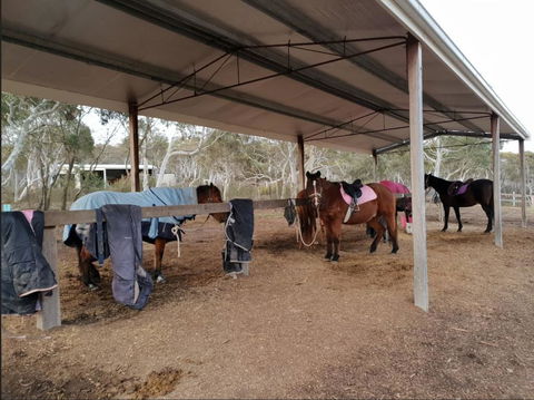 The Saddle Camp Tiny House, Braidwood - Tourism Hervey Bay 1