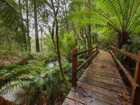 The Source, Otways - Tourism Hervey Bay 0