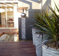 The Wet Lizard - Tourism Hervey Bay