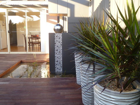 The Wet Lizard - Hervey Bay Accommodation 0