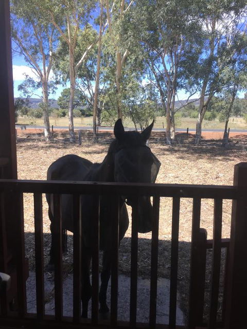 Thie My Chree Retreat - Hervey Bay Accommodation 3