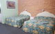Tiaro Motor Inn - thumb 0