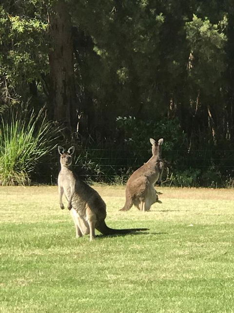 Tinglewood Cabins - Tourism Hervey Bay 2