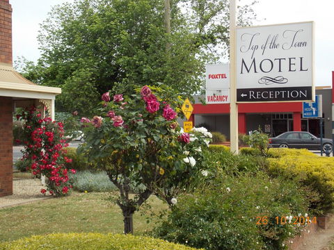 Top Of The Town Motel - Tourism Hervey Bay 3