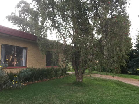 Tree Of Love Farm Stay - Hervey Bay Accommodation 1
