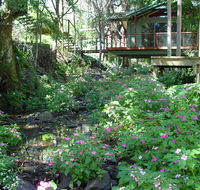 Treetops Montville - Hervey Bay Accommodation