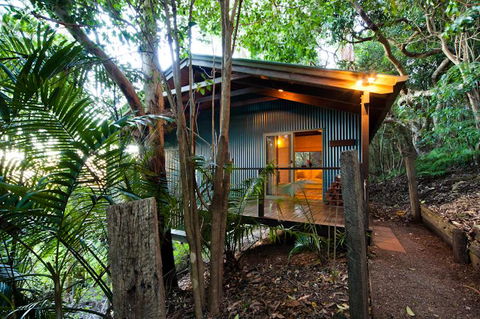 Treetops Seaview Montville - Hervey Bay Accommodation 0