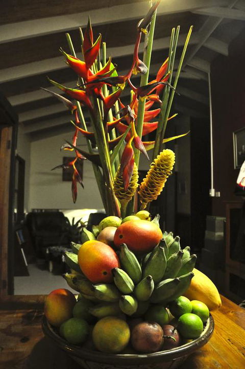 Tropical Bliss Bed And Breakfast - Hervey Bay Accommodation 3