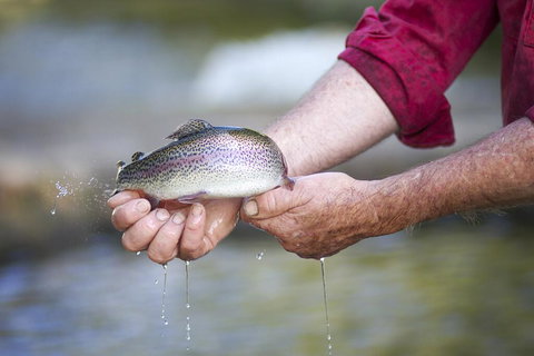 Tuki Retreat - Hervey Bay Accommodation 2