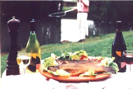 Tuki Retreat - Hervey Bay Accommodation 3