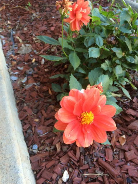 Tumut Valley Motel - Hervey Bay Accommodation 1