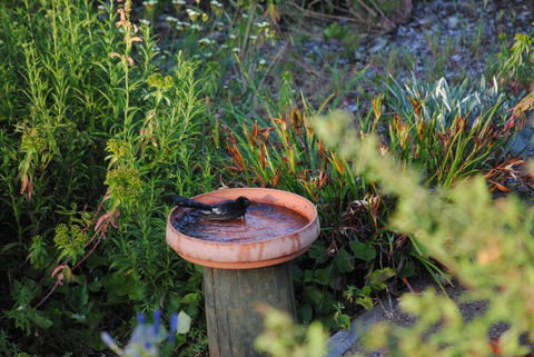 Tweed Valley Lodge - Hervey Bay Accommodation 2