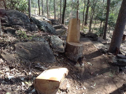 Twilight Grove Farm - Hervey Bay Accommodation 3