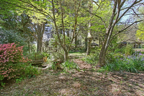 Until - Country Garden Setting - Hervey Bay Accommodation 1