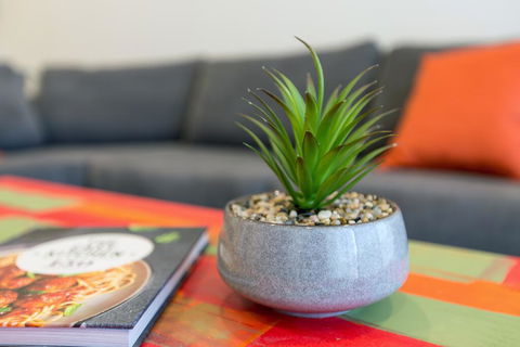 Urban Jungle! Executive Apartment In Heart Of CBD - Hervey Bay Accommodation 1