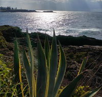 Ven  Marks Place - Tourism Hervey Bay