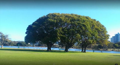 Victoria Park Villa 2 - Tourism Hervey Bay 1