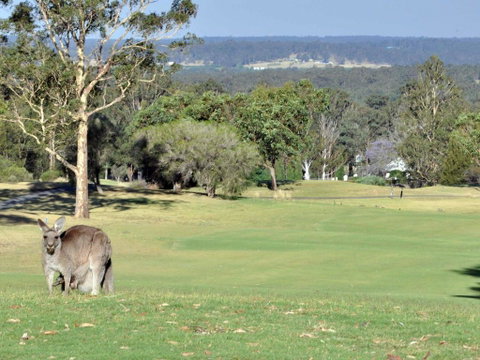 Villas Treinta (Sleeps 30) Resort Condos Located Within Cypress Lakes Resort (nothing Is More Central) - Hervey Bay Accommodation 0