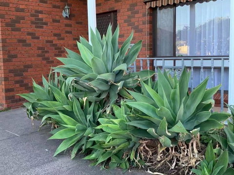 Vintage House In Bentleigh East - Hervey Bay Accommodation 1