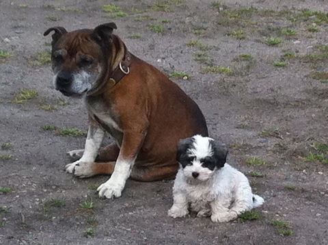 Walcha Royal Cafe & Accommodation - Hervey Bay Accommodation 3