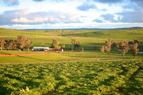 Wantana Cottage Farmstay - Hervey Bay Accommodation 0
