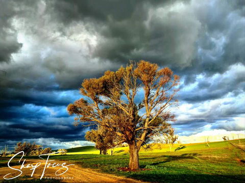 Wantana Cottage Farmstay - Hervey Bay Accommodation 2