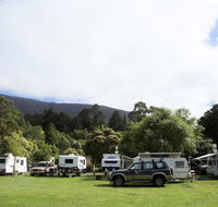 Warburton Holiday Park - Hervey Bay Accommodation