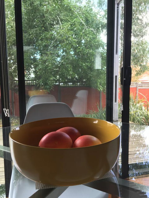 Daydream Cottage - Tourism Hervey Bay 19