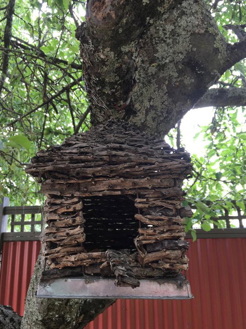 Daydream Cottage - Tourism Hervey Bay 18