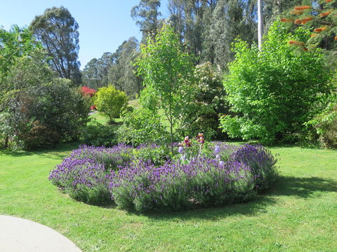 Amelina Cottages - Tourism Hervey Bay 32