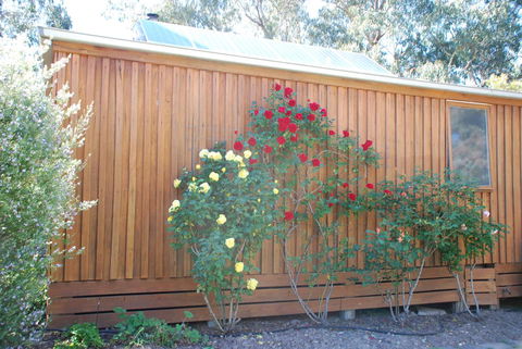 Bluegum Ridge Cottages - Tourism Hervey Bay 23