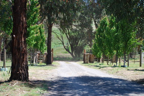 Bluegum Ridge Cottages - Tourism Hervey Bay 3