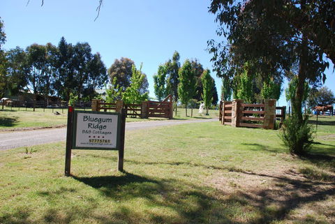 Bluegum Ridge Cottages - Tourism Hervey Bay 1