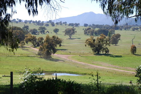 Bluegum Ridge Cottages - Tourism Hervey Bay 31
