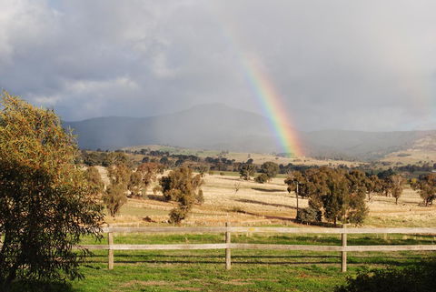 Bluegum Ridge Cottages - Tourism Hervey Bay 32
