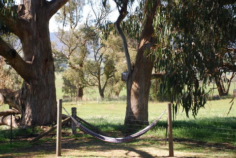 Bluegum Ridge Cottages - Tourism Hervey Bay 28