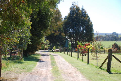Bluegum Ridge Cottages - Tourism Hervey Bay 4