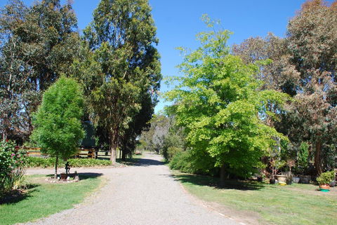 Bluegum Ridge Cottages - Tourism Hervey Bay 5