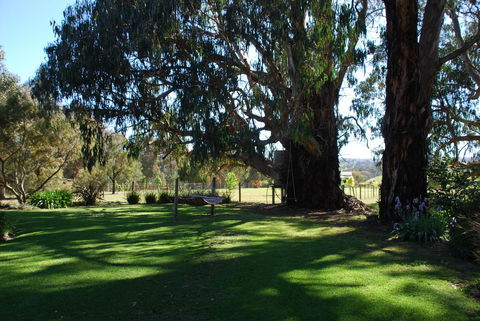 Bluegum Ridge Cottages - Tourism Hervey Bay 29