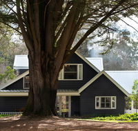 The Orchard - Tourism Hervey Bay