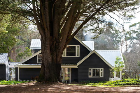 The Orchard - Hervey Bay Accommodation 0