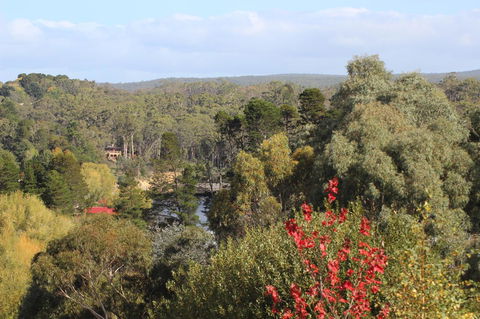 The Orchard - Hervey Bay Accommodation 28