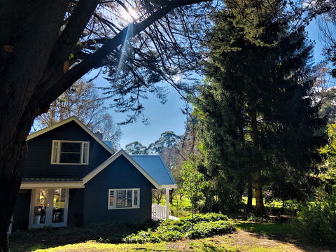 The Orchard - Hervey Bay Accommodation 1