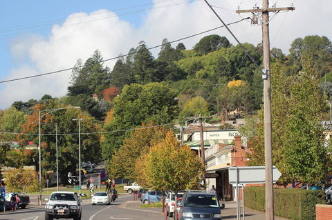 The Orchard - Hervey Bay Accommodation 35