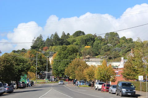 The Orchard - Hervey Bay Accommodation 29